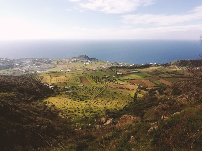 Paesaggio Agrario Pantesco - Aromi del Vento