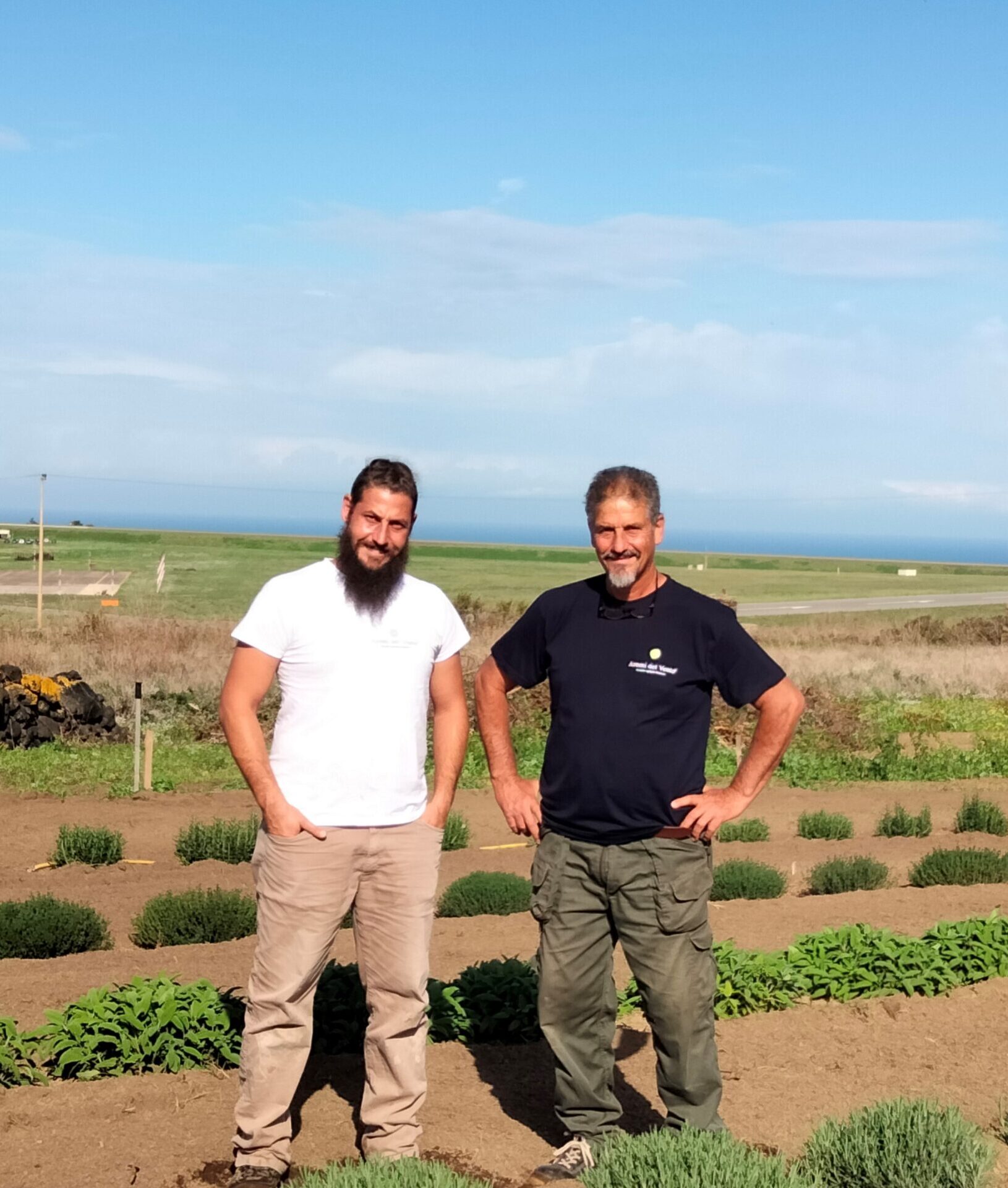 Azienda Agricola Biologica a Pantelleria - Antonio e Salvatore D'Ancona di Aromi del Vento