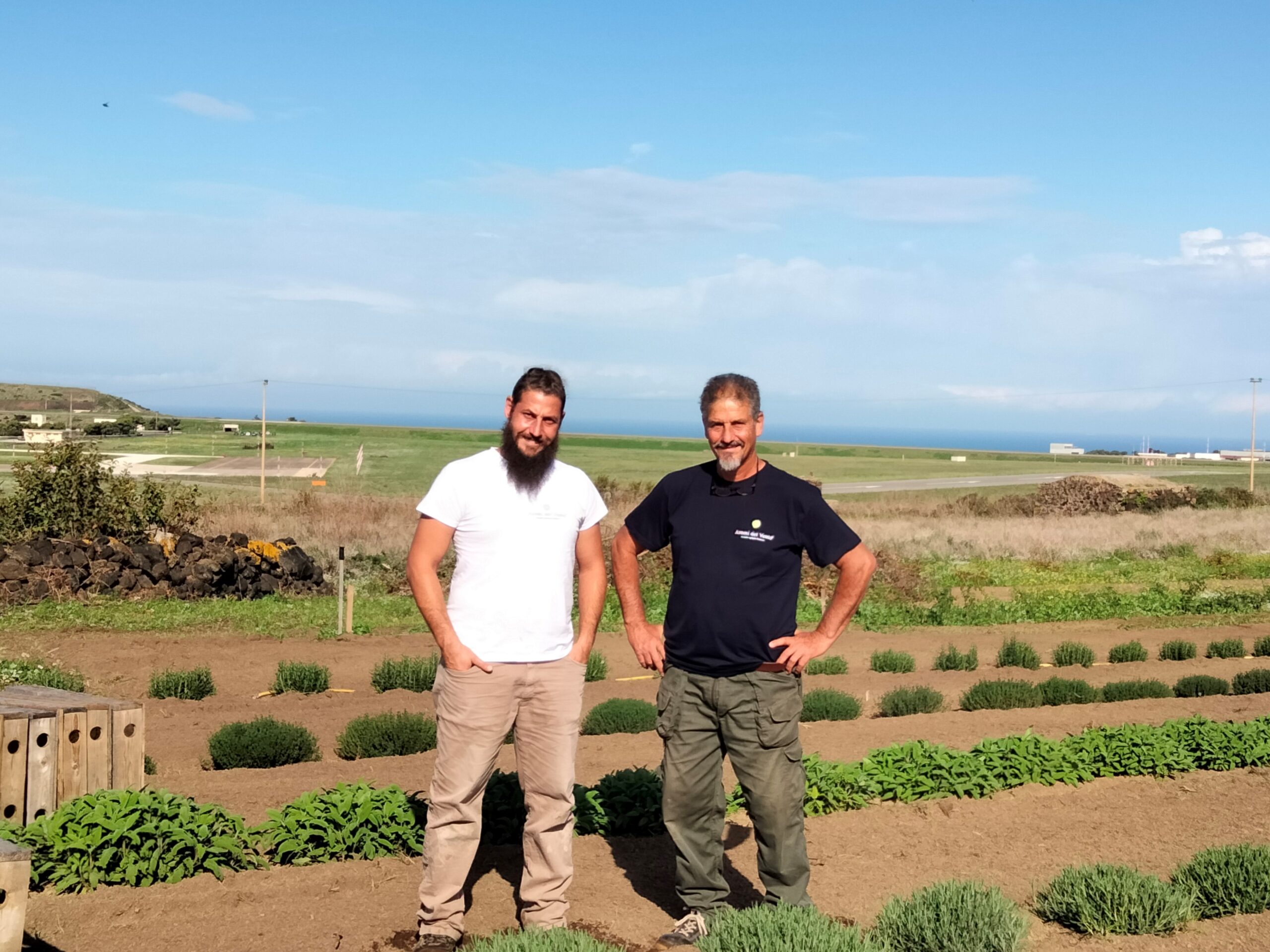 Azienda Agricola Biologica a Pantelleria - Antonio e Salvatore D'Ancona di Aromi del Vento