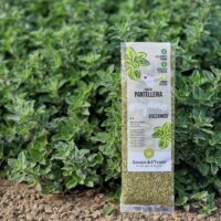 Azienda Agricola Aromi del Vento® Bustina di Origano Vulcanico accanto una pianta di Origano di Pantelleria